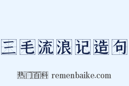 三毛流浪记造句是什么意思的图片
